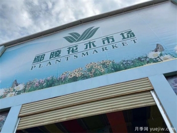 鄢陵县花木产业未必能想到的那些问题